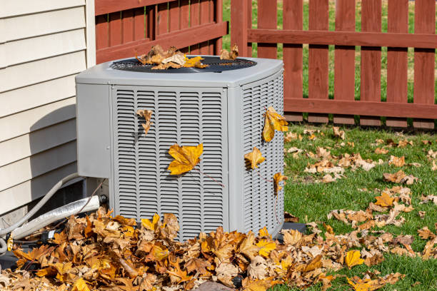 Best Best HVAC companies  in Palmetto Estates, FL